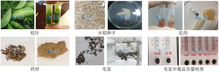 785342889784 785342889784