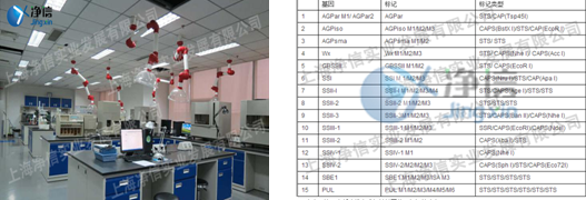 低溫破碎酵母細(xì)胞使用高通量組織研磨儀實(shí)驗(yàn)